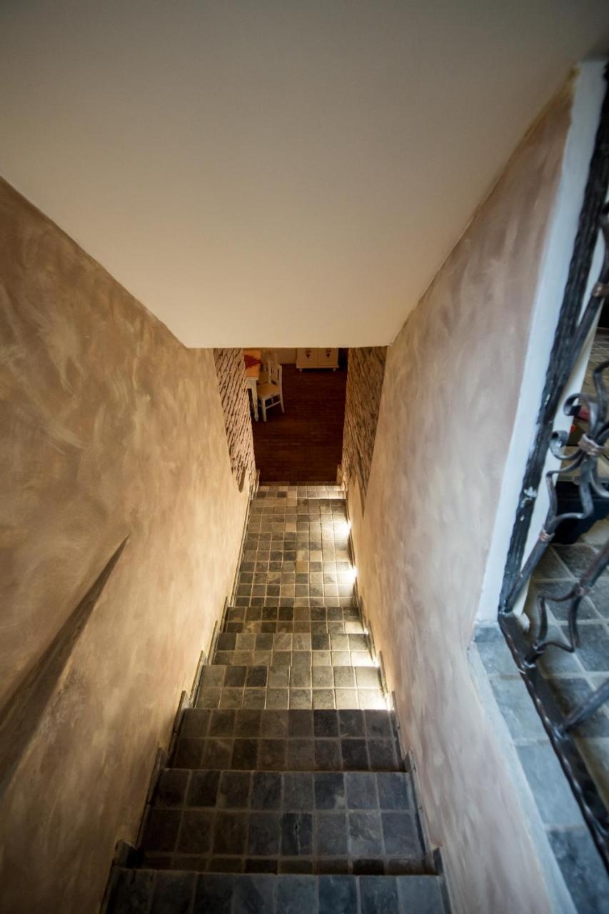 Vila Nicopole Art & Wine Brasov Bagian luar foto