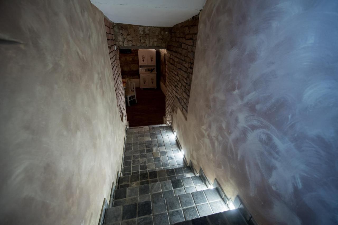 Vila Nicopole Art & Wine Brasov Bagian luar foto