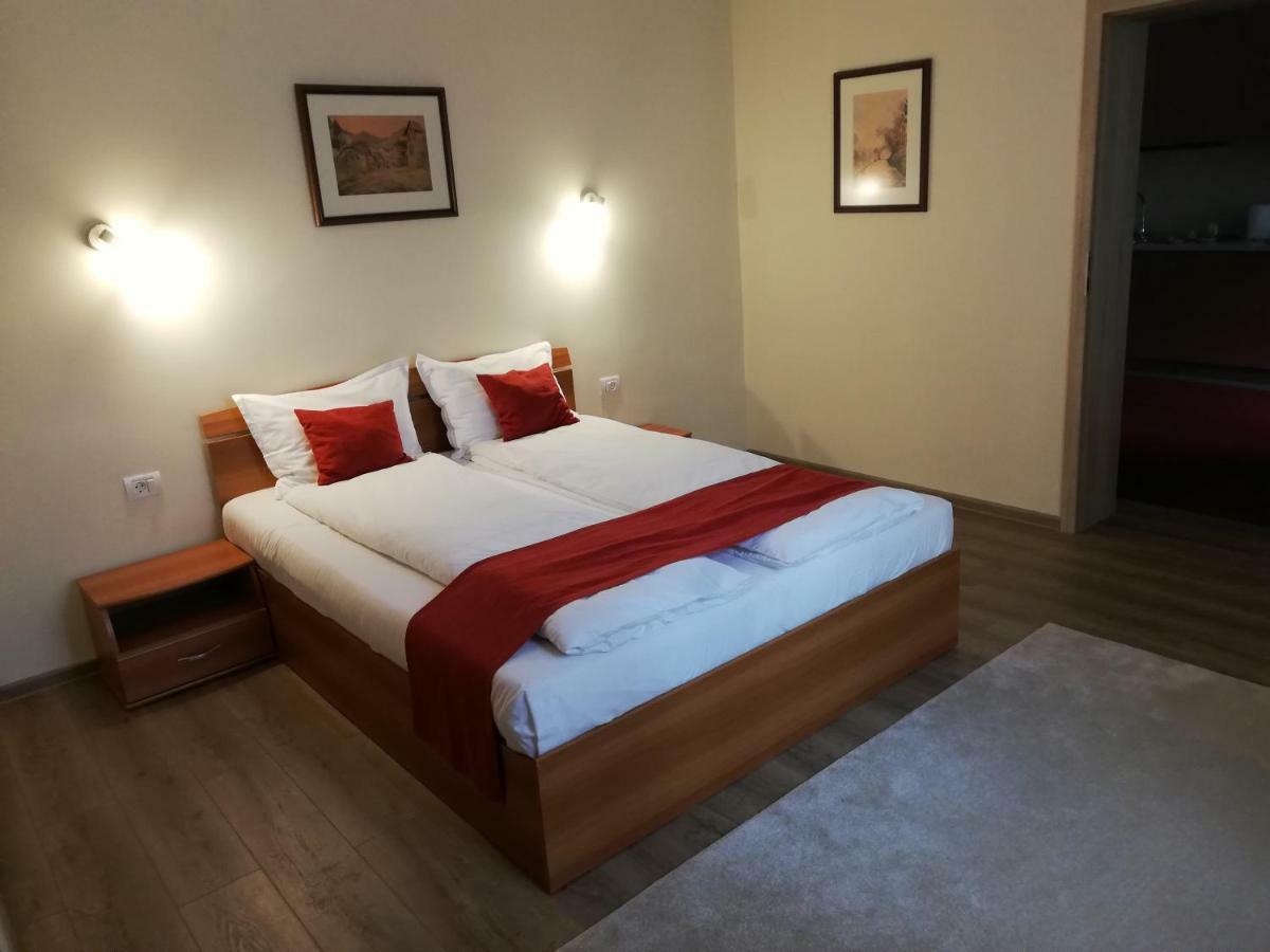 Vila Nicopole Art & Wine Brasov Bagian luar foto